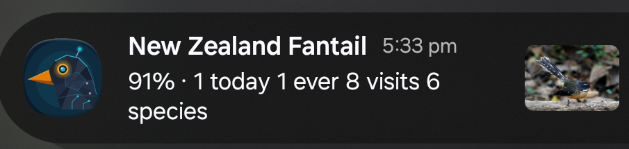 notification