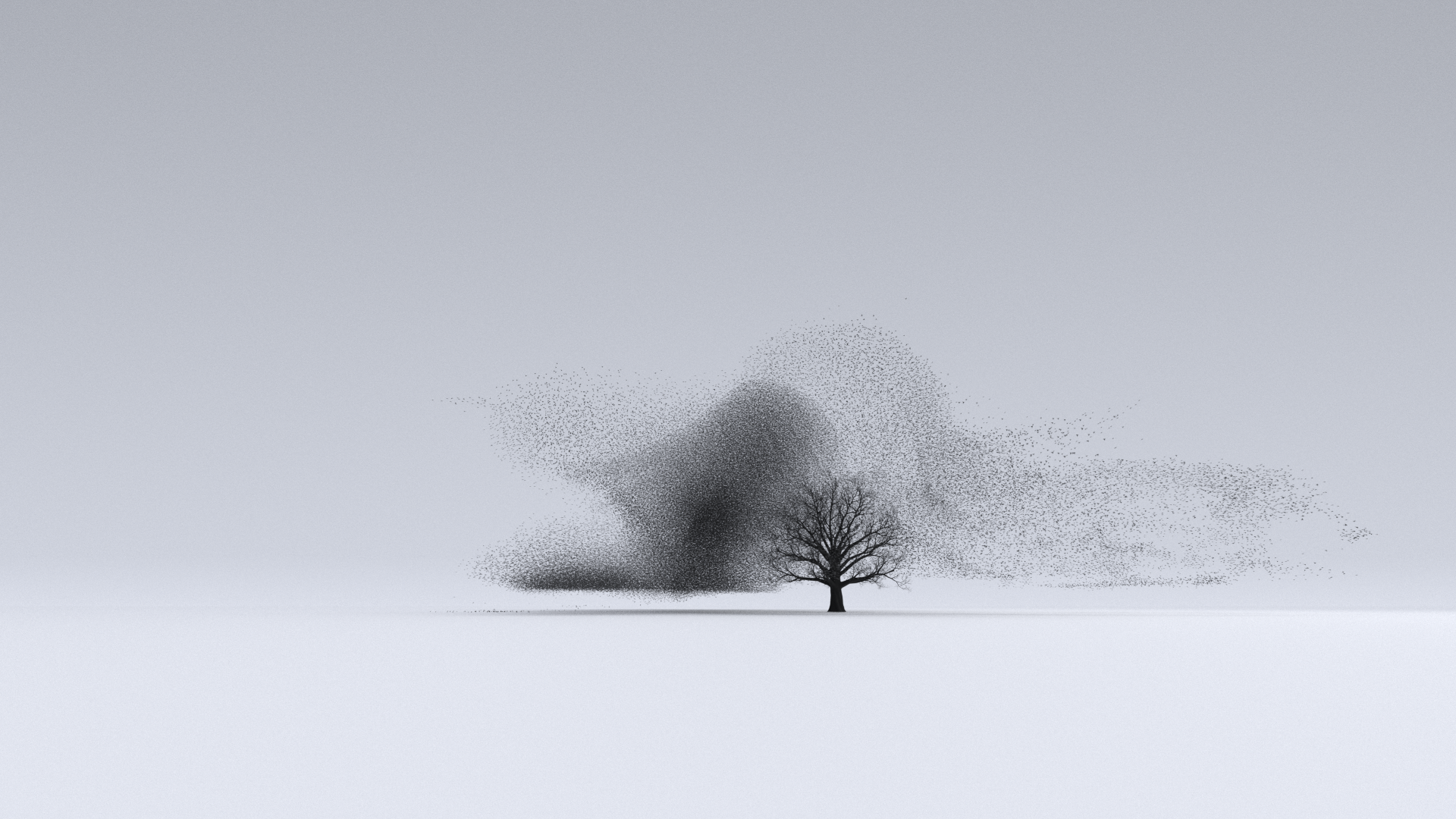 Flocking