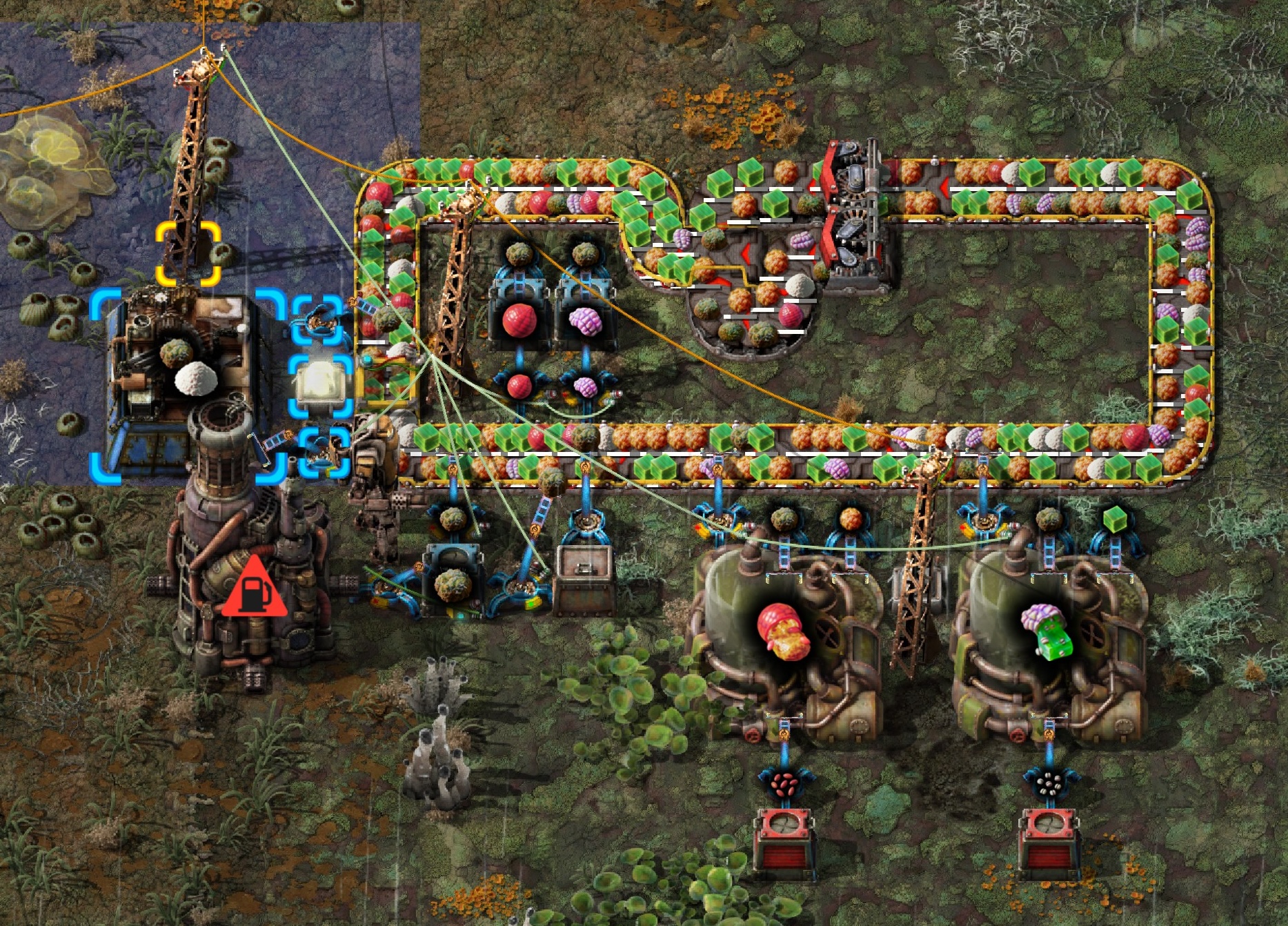 Fruit Processing
