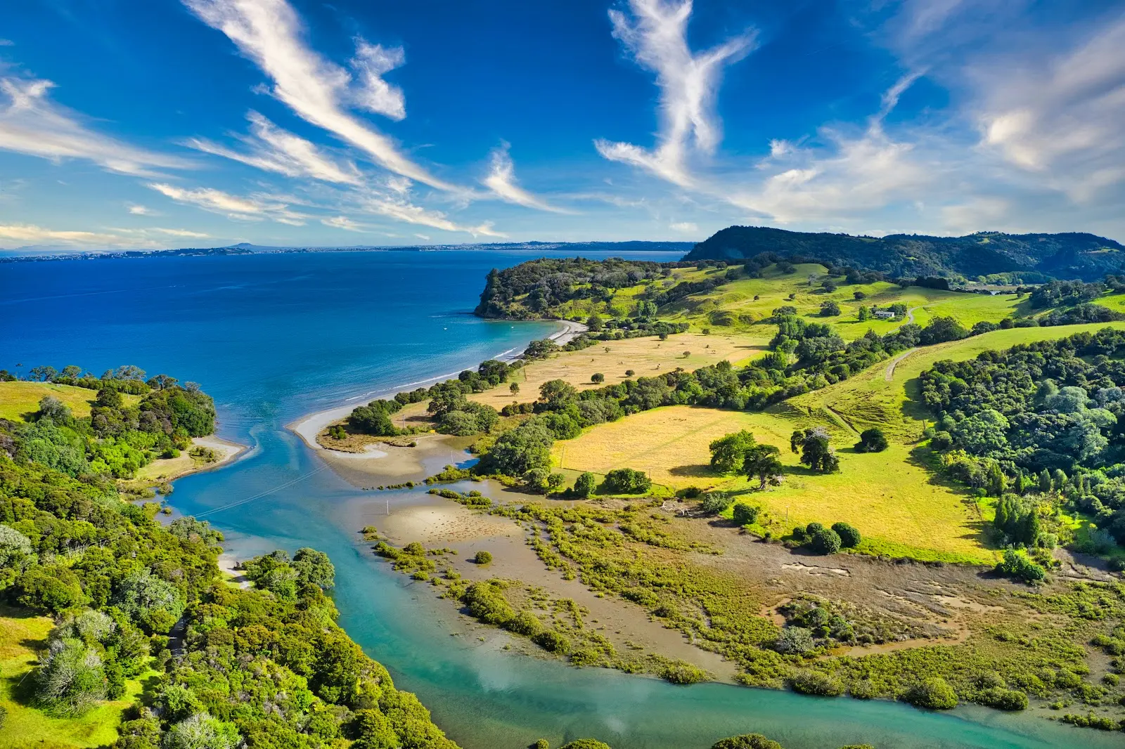 Te Muri